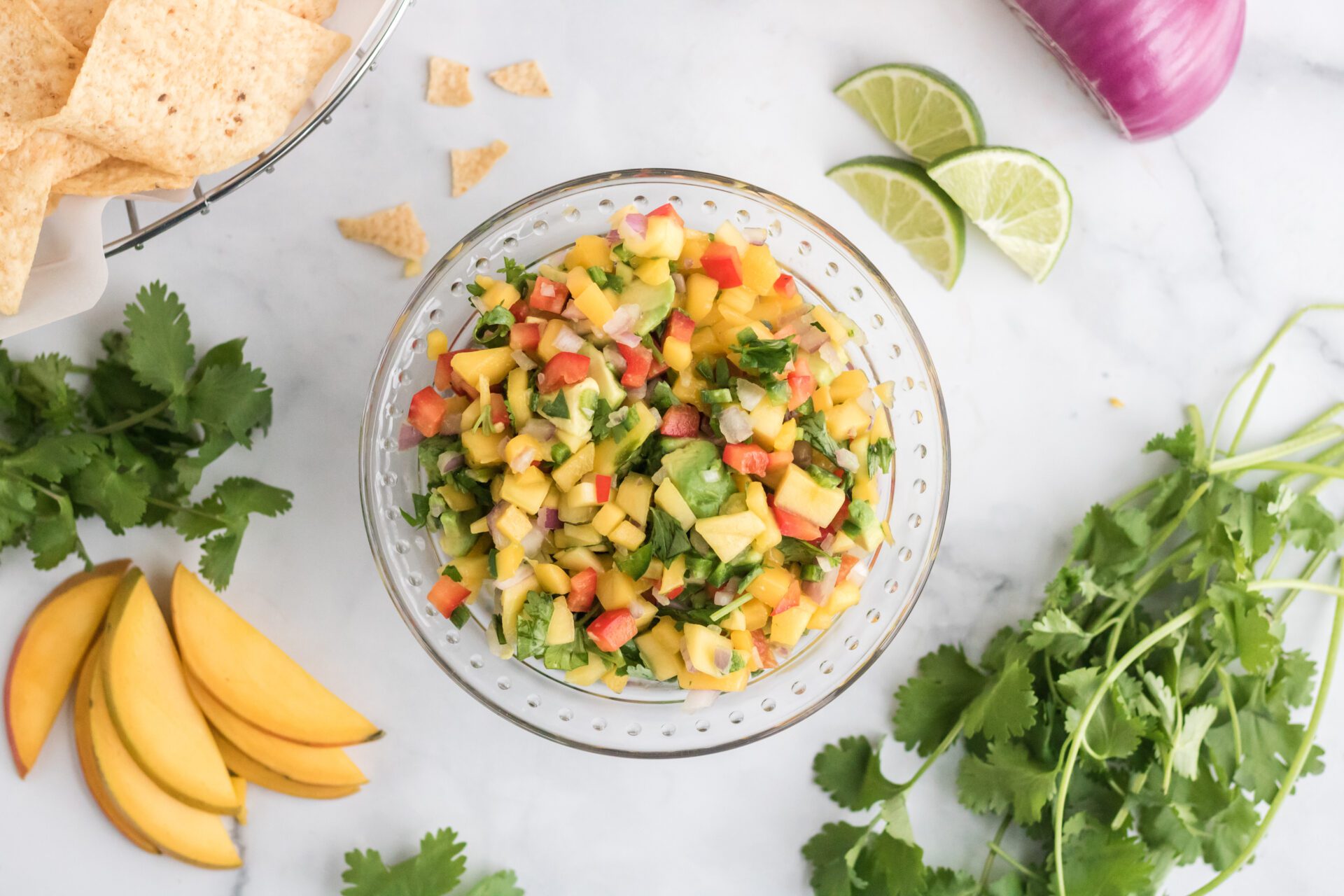 The Perfect Fresh Mango Salsa with Step by Step Ingredients