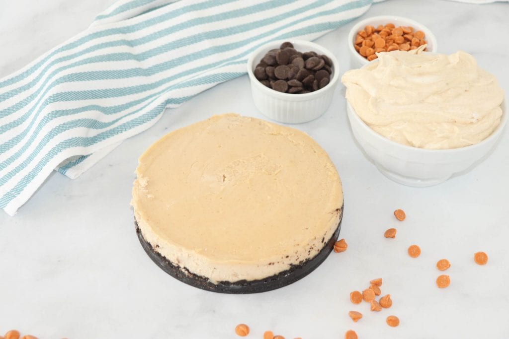 Looking for a new twist on the Instant Pot Cheesecake? Check out this delicious foolproof Instant Pot Peanut Butter Cheesecake! You will have everyone begging for more!