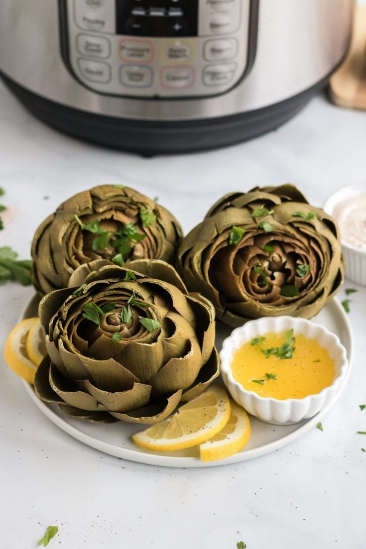 Melted Lemon Garlic Butter is the most versatile and delicious sauce you will ever make. Get ready to let your artichokes and other foods swim in this dipping sauce for artichokes!