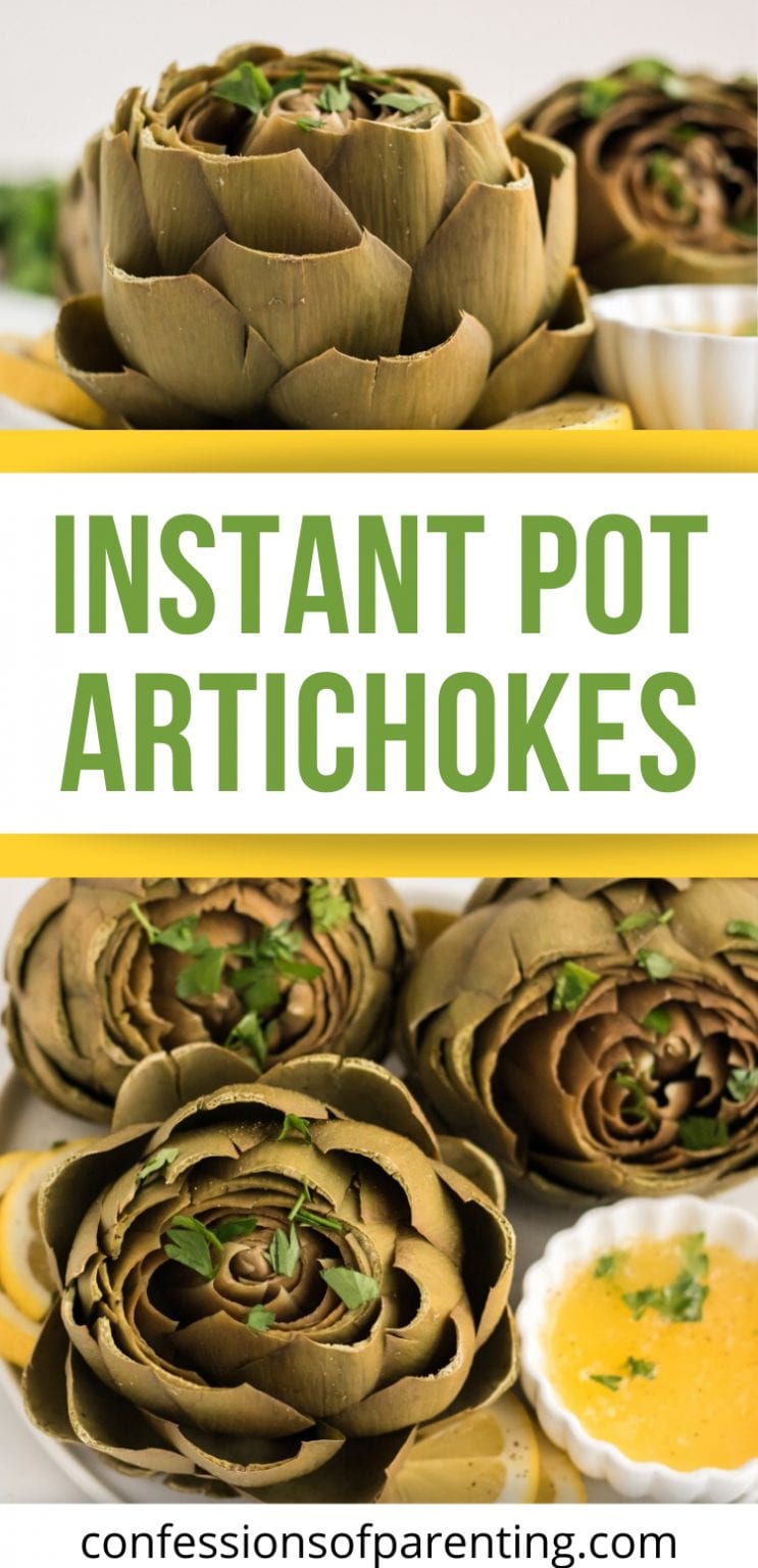 Instant Pot Artichokes Confessions of Parenting Fun Games, Jokes, and More