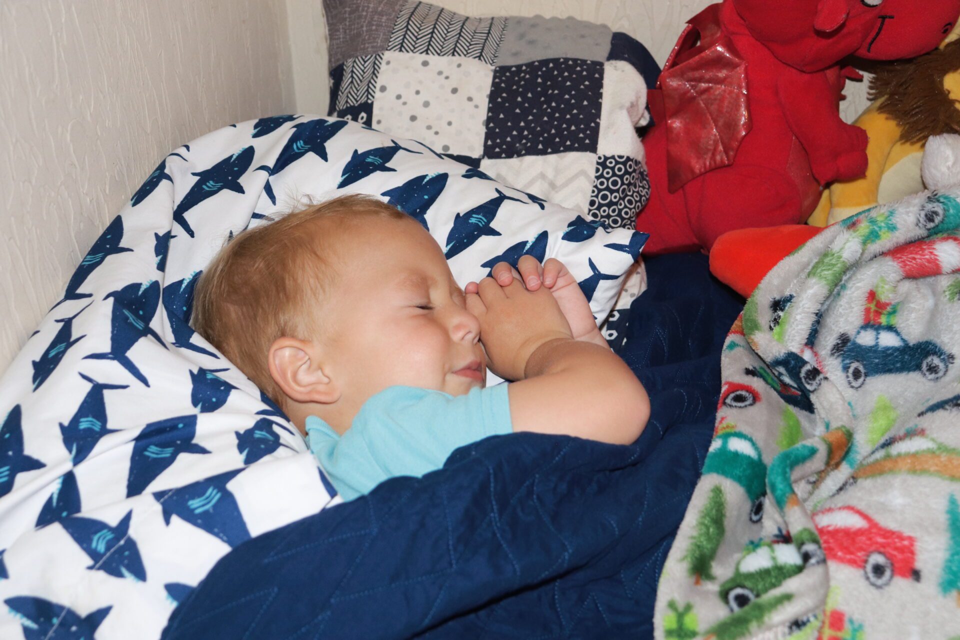 how much sleep should my 2 and a half year old get