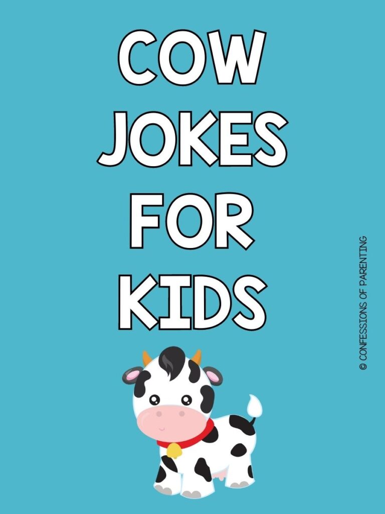 One cow with white lettering that says "cow jokes for kids" on a blue background
