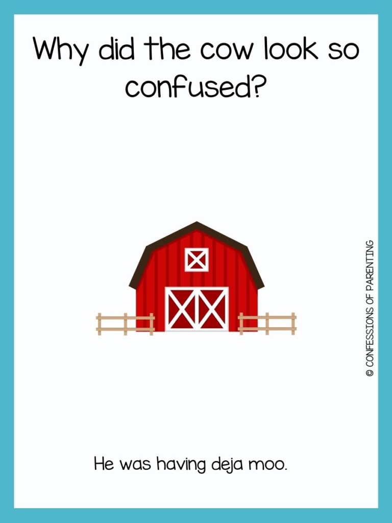 Red barn and tan fence with cow joke and a blue border