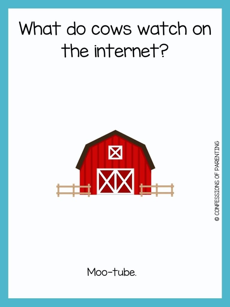 Red barn with tan fence with cow joke and a blue border 