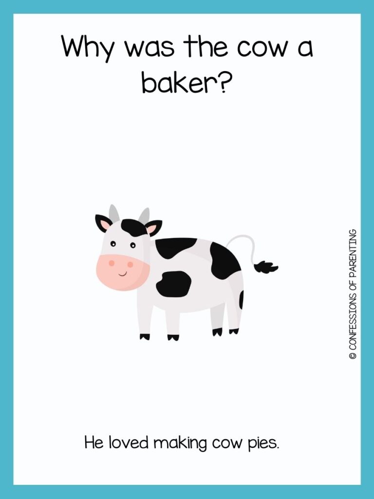 Funny Cow Jokes