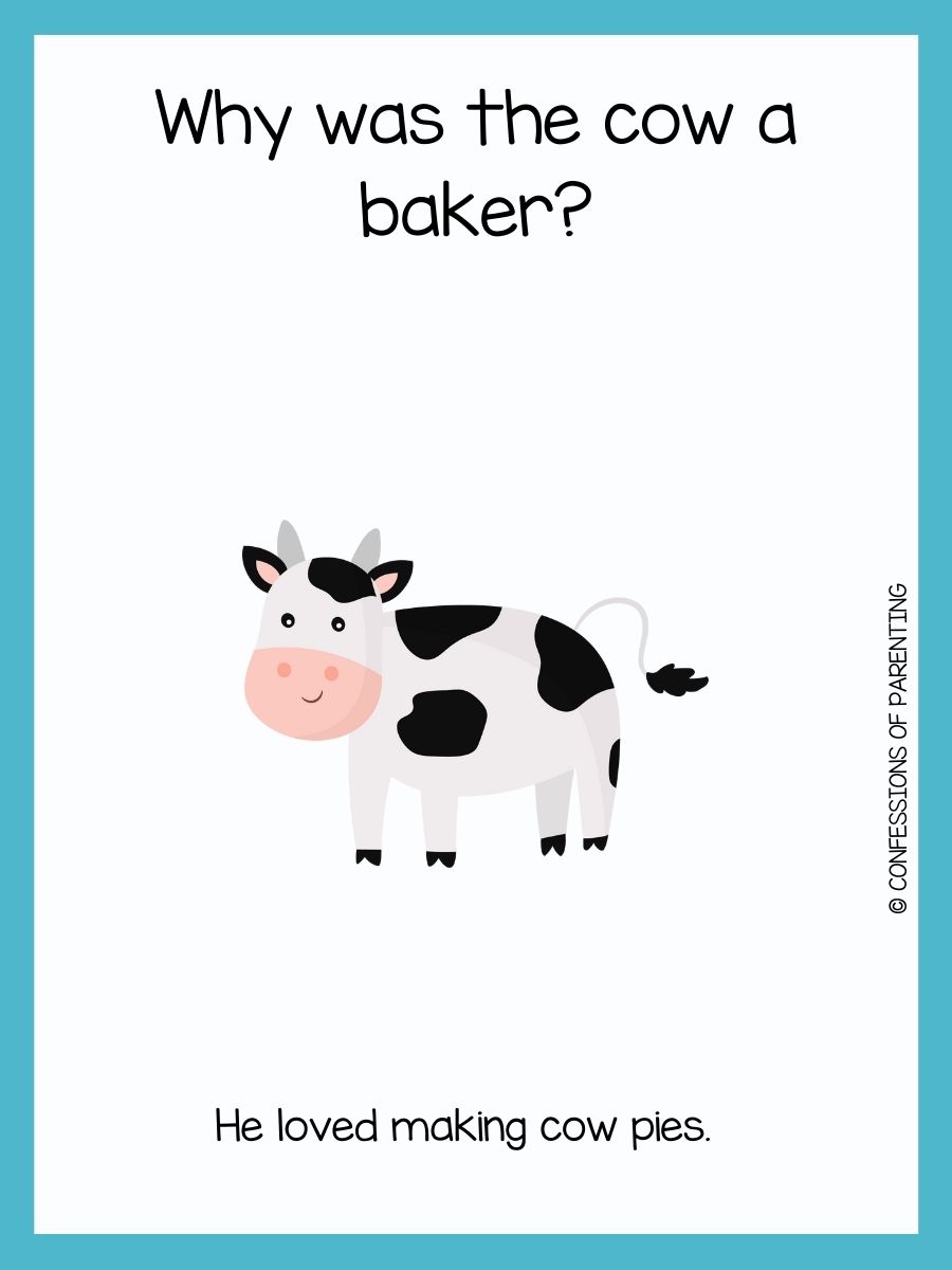 100 Best Cow Jokes To Make You Lol 3238