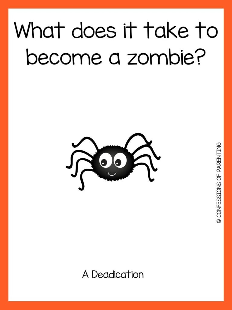 Spider with a Halloween joke and an orange border