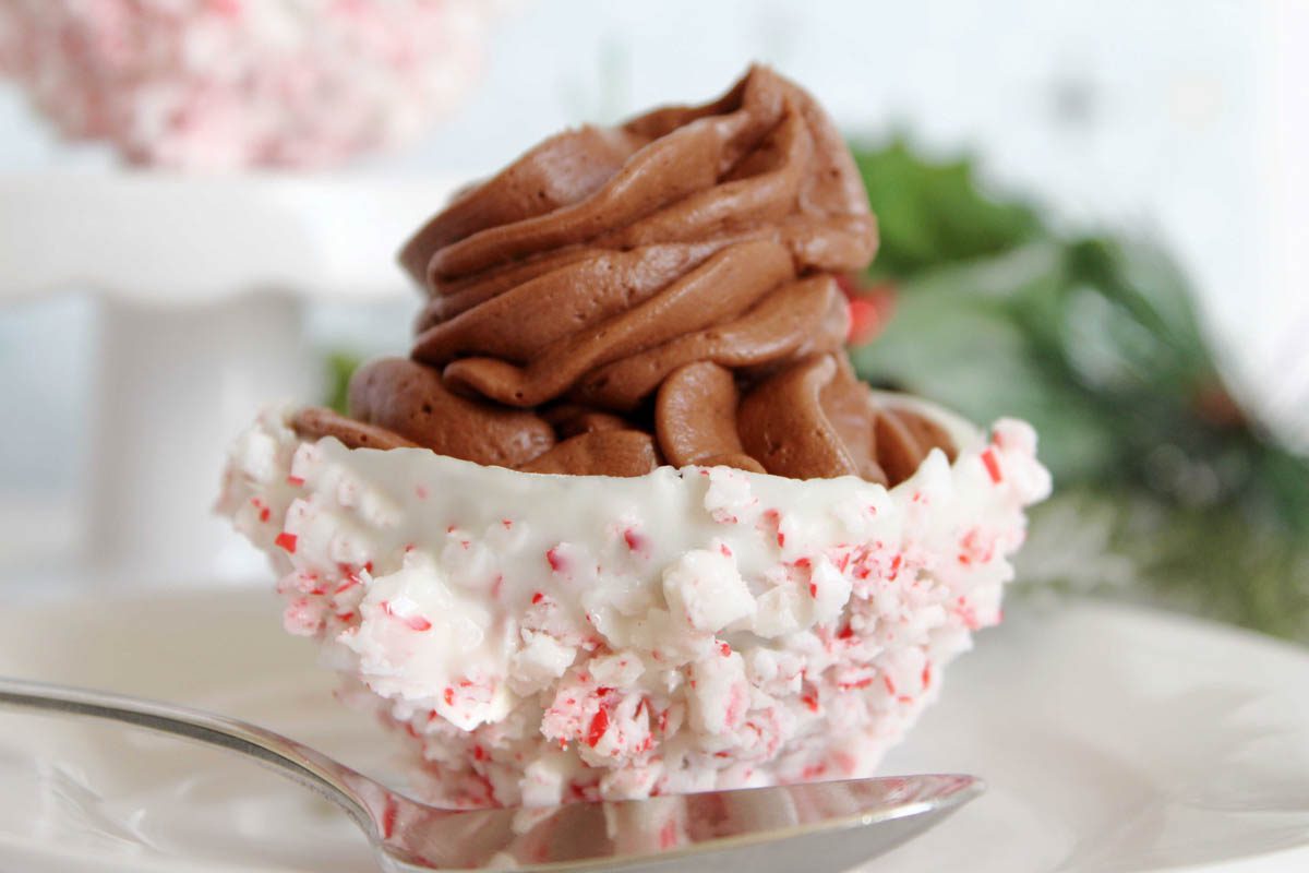 Best christmas ice cream recipes 2022.