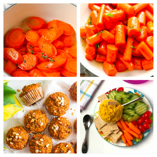 44 Carrot Recipes for Toddlers That They Will Love!