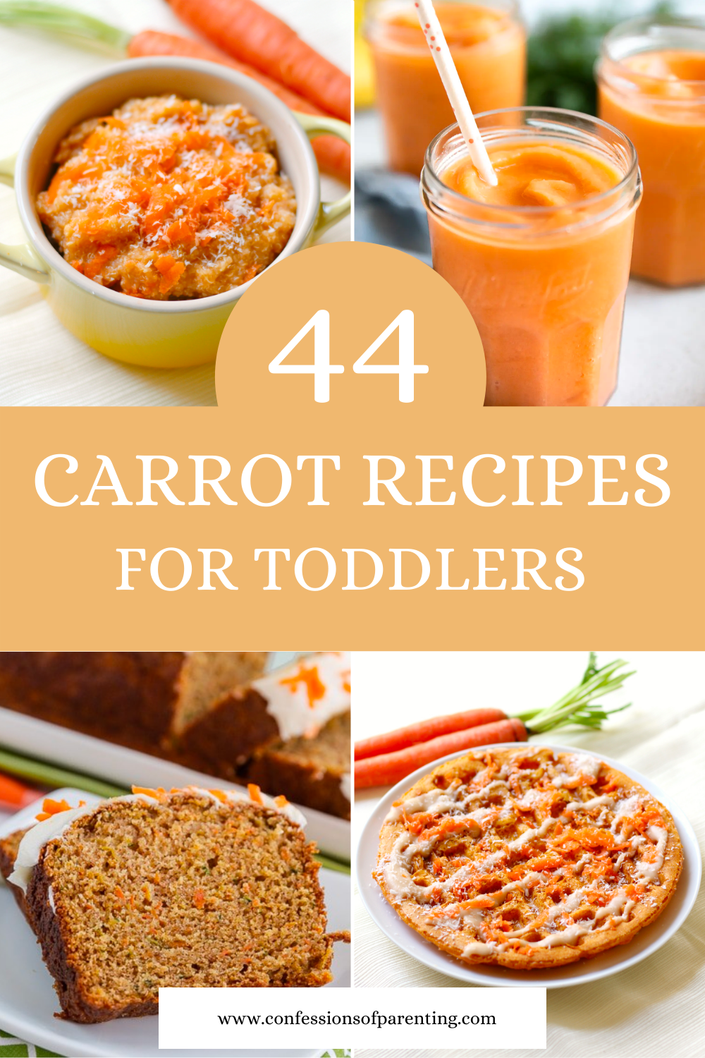 44 Carrot Recipes for Toddlers That They Will Love!