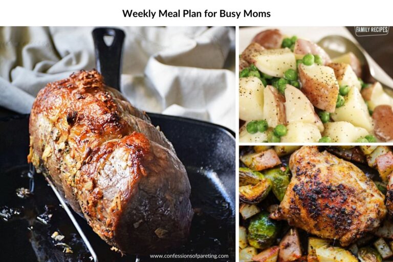 Weekly Meal Plan for Diligent Moms Recipes Week #31
