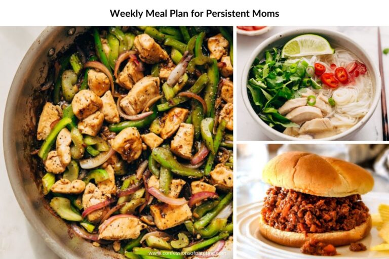 Weekly Meal Plan for Persistent Moms Recipes Week #47