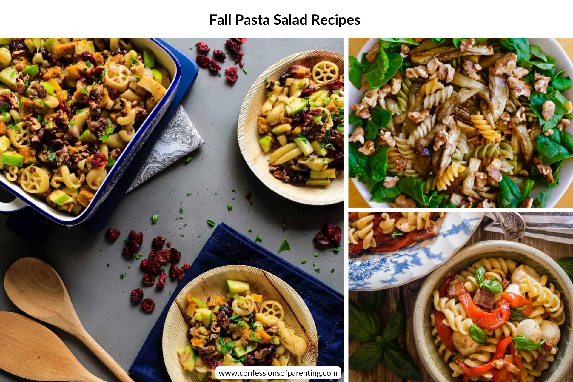 feature image: Fall Pasta Salad Recipes