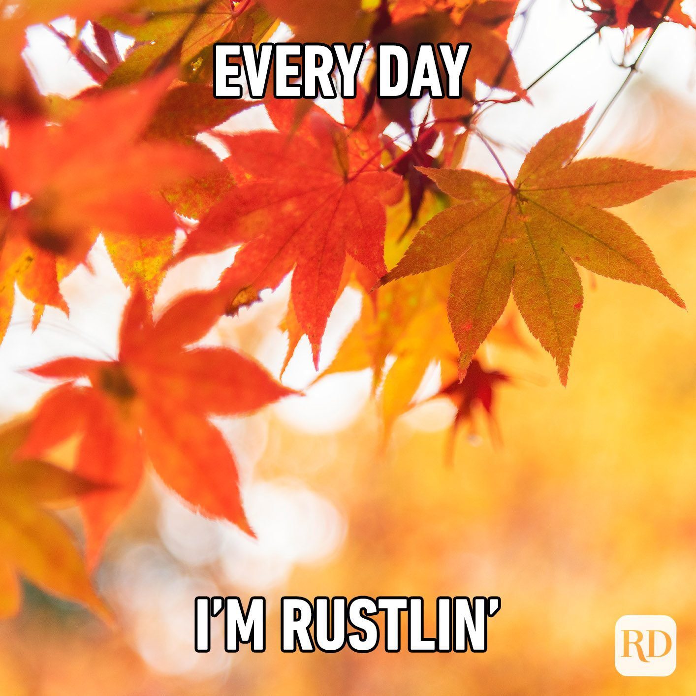 80 Best First Day Of Fall Memes