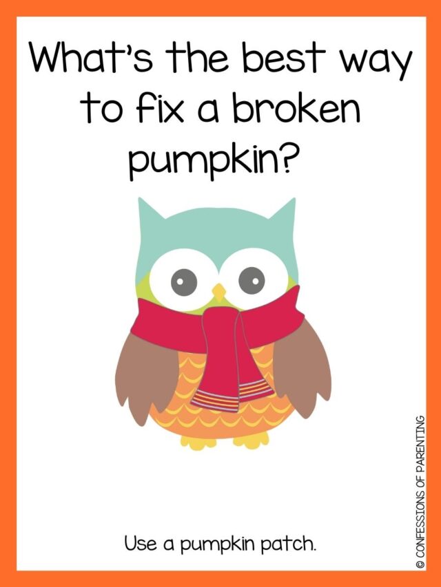 200+ Fall Puns That Will Leaf You Laughing - Confessions of Parenting ...