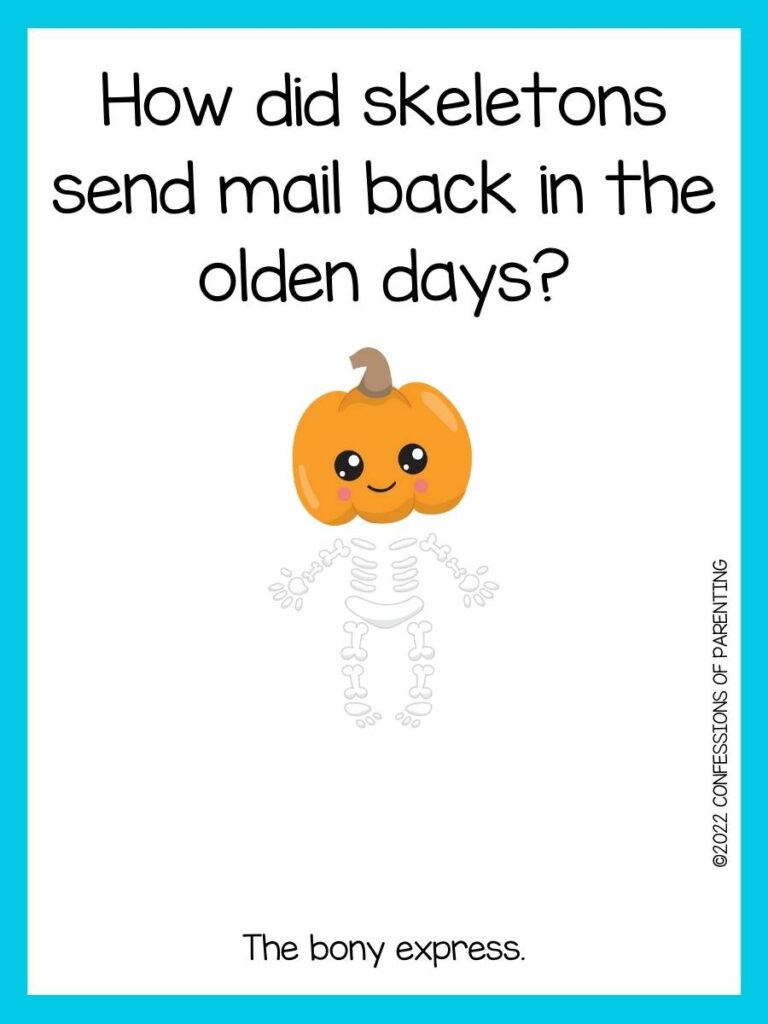 skeleton pun with pumpkin head skeleton with blue border