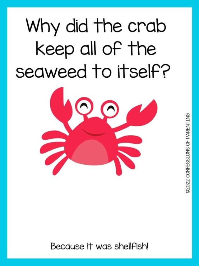 100+ Shelltastic Crab Jokes For Kids