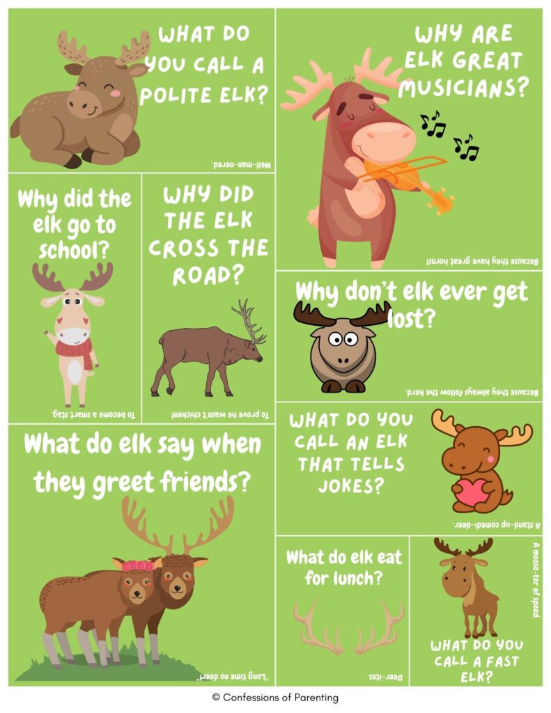 Green collage of cute cartoon elk with elk-themed jokes and puns about school, music, greetings, and food, each panel showing a playful elk illustration and joke question.