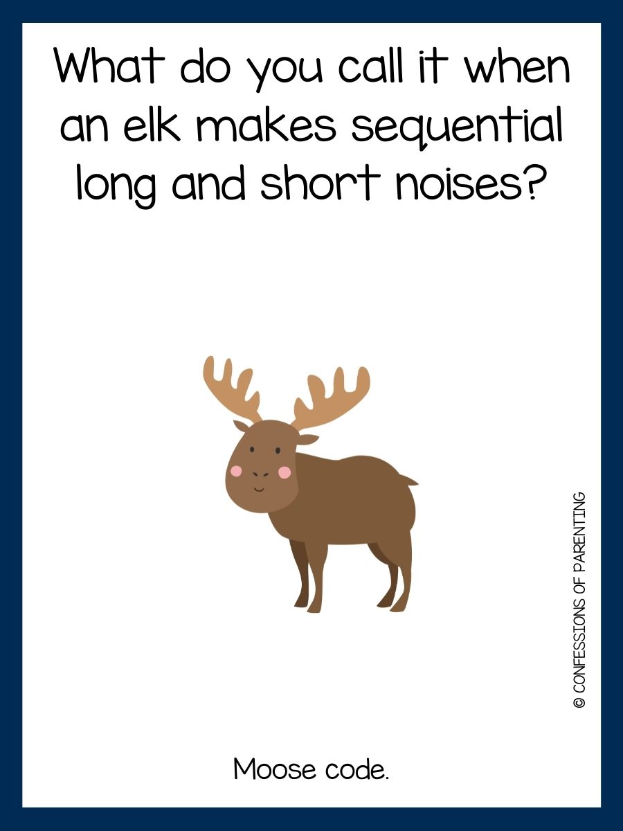 40 Elk Jokes That Will Amoose Kids and Adults!