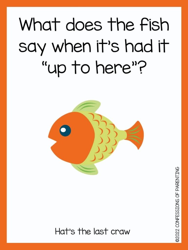 fish pun with orange and green fish with orange border 