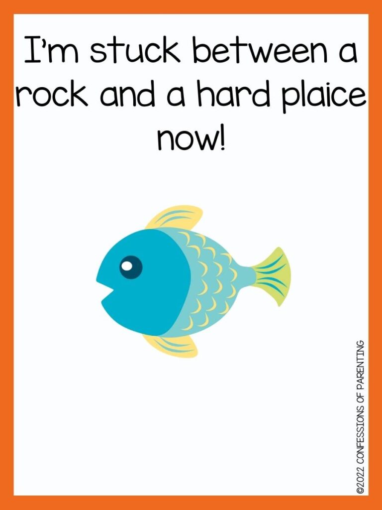 fish pun with blue fish and orange border 
