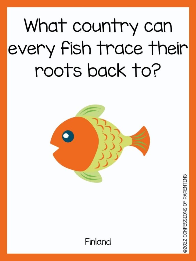 funny fish puns