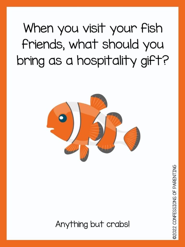 fish pun with clown fish and orange border