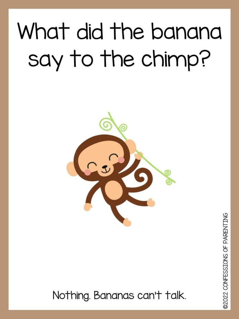 monkey joke with monkey hanging from vine and brown border