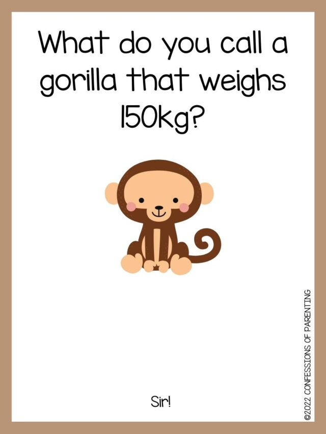 125 ApPeeling Monkey Jokes For Kids