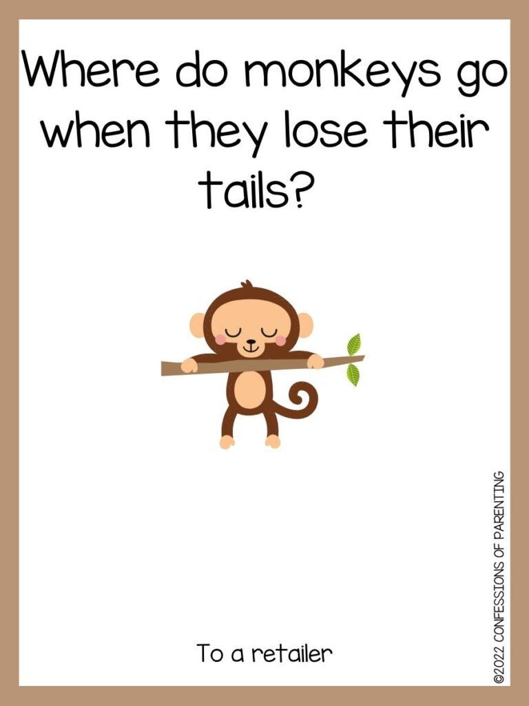 monkey joke with monkey on branch and brown border 