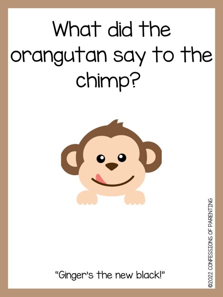 monkey joke with monkey face and brown border