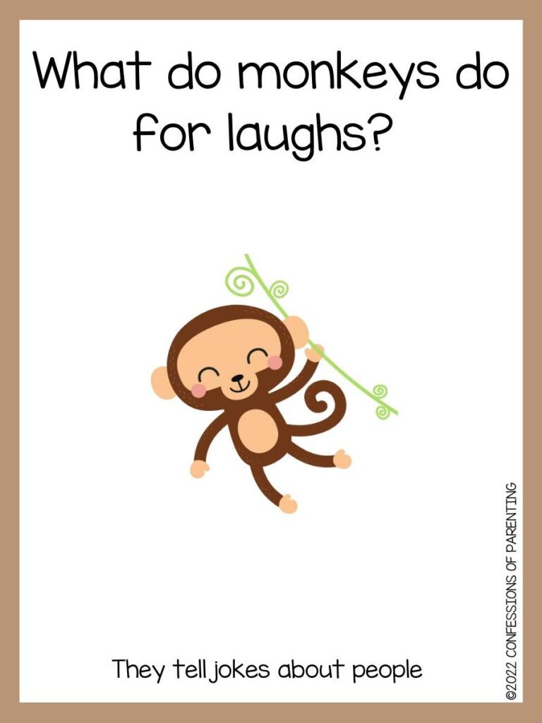 monkey joke with monkey on vine and brown border 