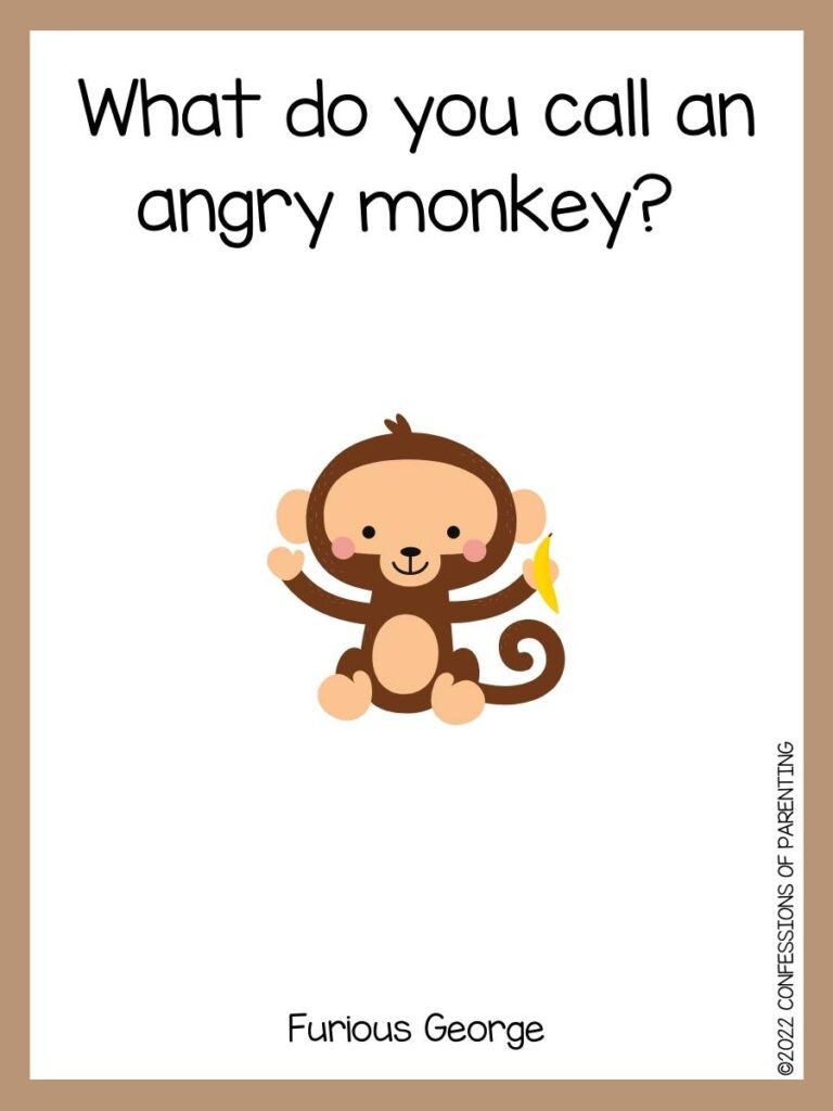 monkey joke with monkey holding banana with brown border 