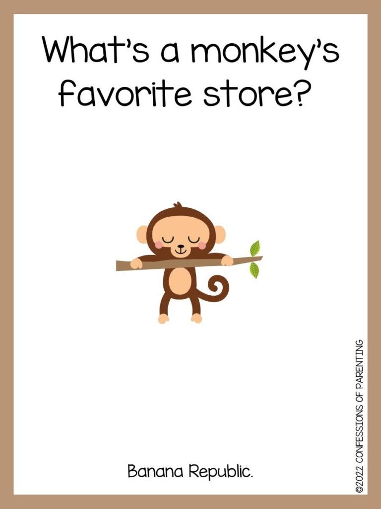 monkey joke with monkey hanging from branch and brown border 