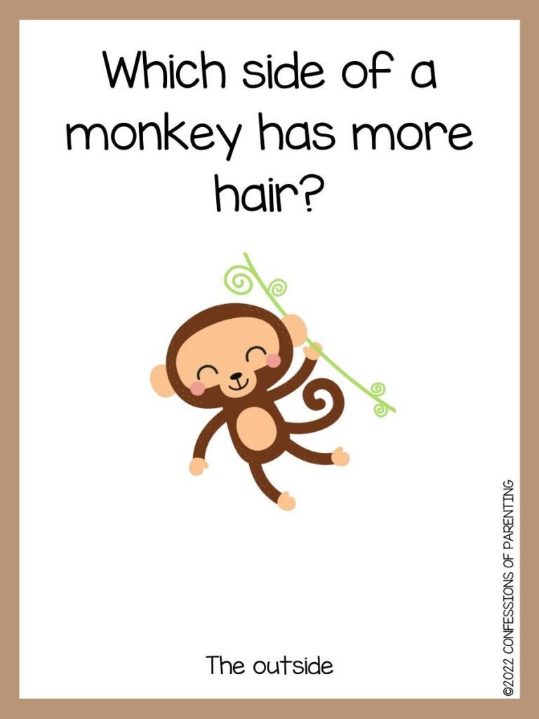 monkey joke with monkey hanging from vine and brown border