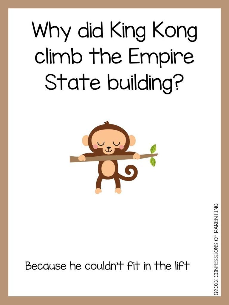 monkey joke with monkey holding branch and brown border