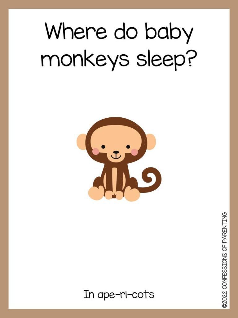 monkey joke with monkey sitting and brown border