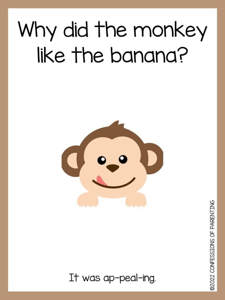 monkey joke with monkey face and brown border