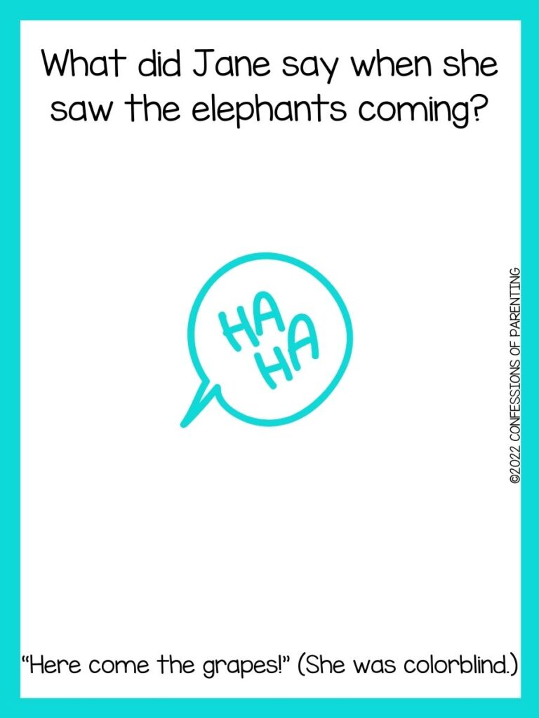 white background with turquoise border and turquoise speaking bubble that says "ha, ha."