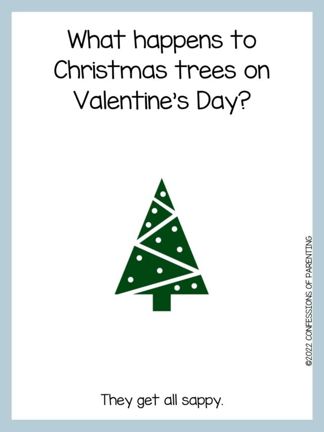 90 Best Christmas Tree Jokes That Are TreeMendous