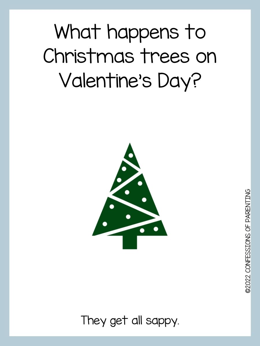 90 Best Christmas Tree Jokes That Are TreeMendous
