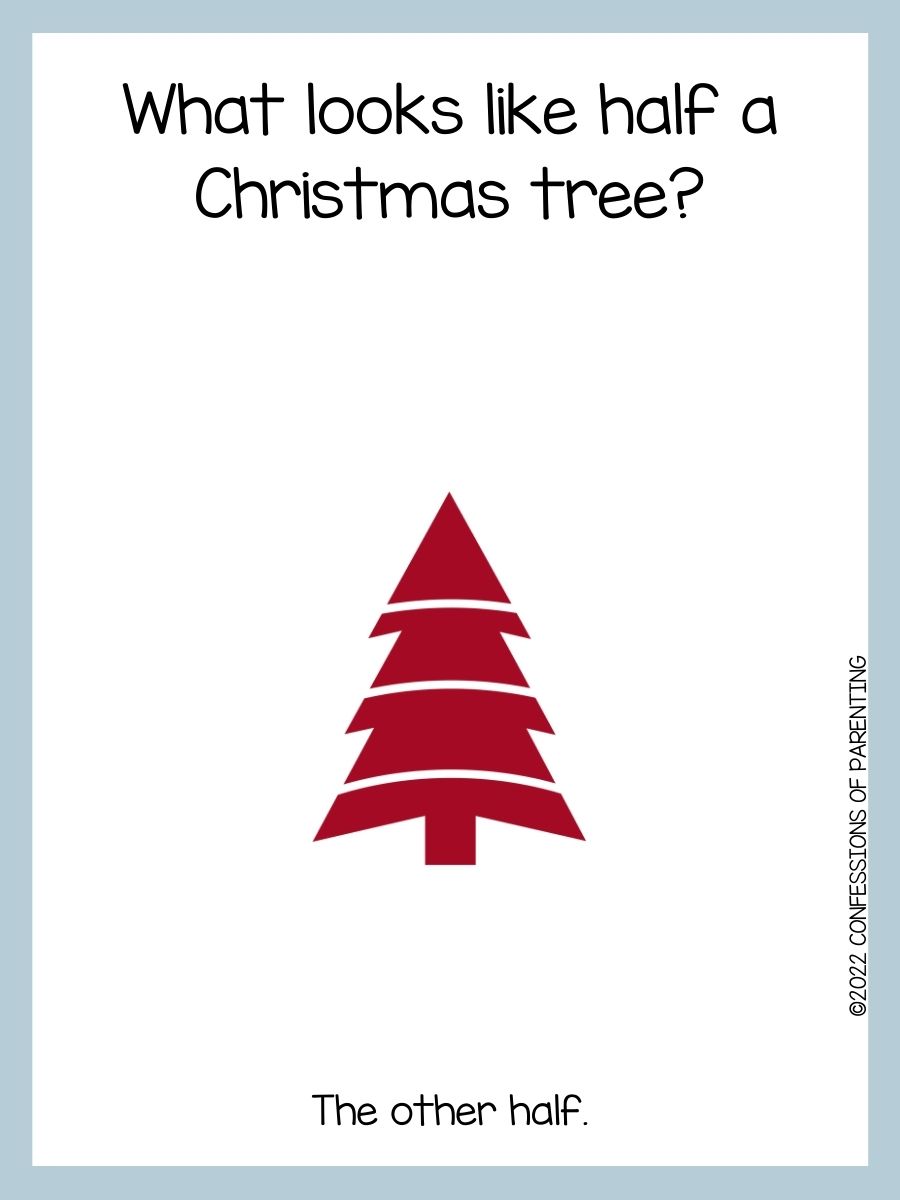 90 Best Christmas Tree Jokes That Are TreeMendous