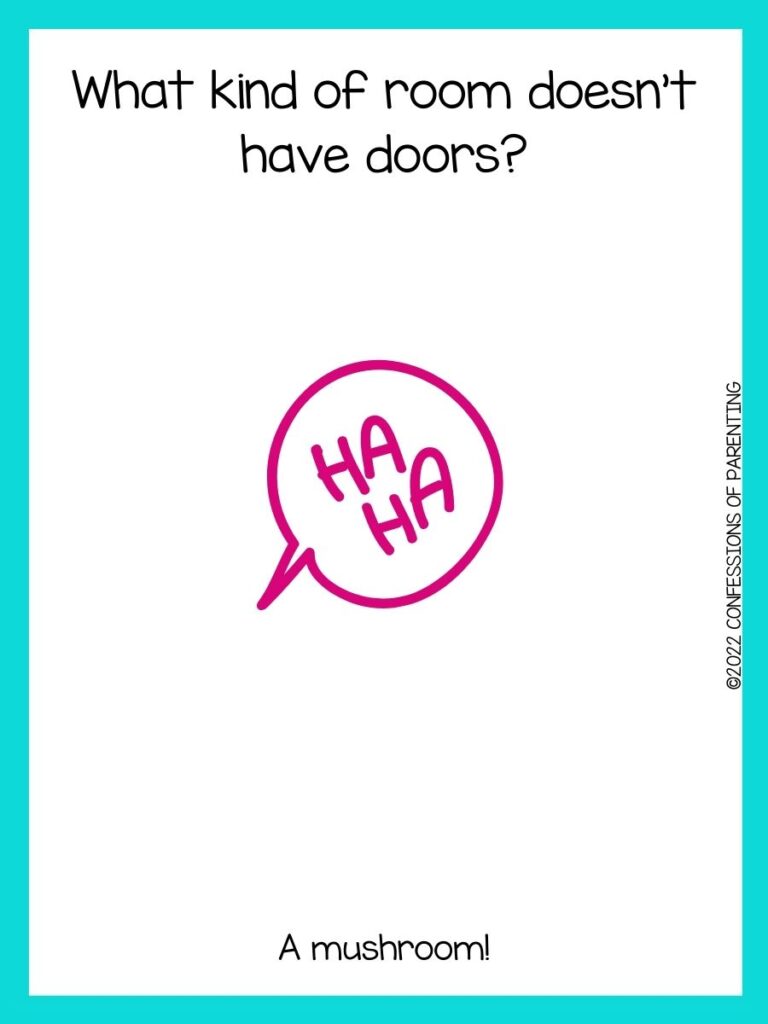 white background with turquoise border and pink speaking bubble that says "ha, ha."