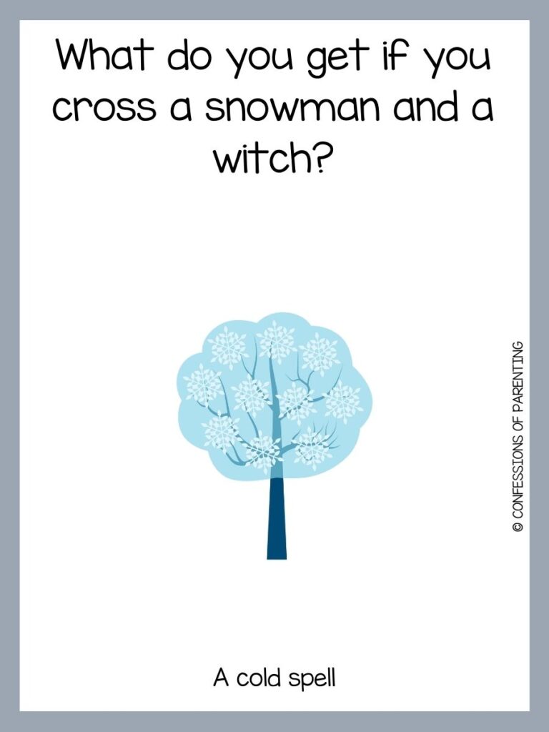 White background with grey border and a blue tree with white flowers. Black writing that says winter riddle