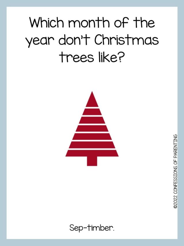 90 Best Christmas Tree Jokes That Are TreeMendous