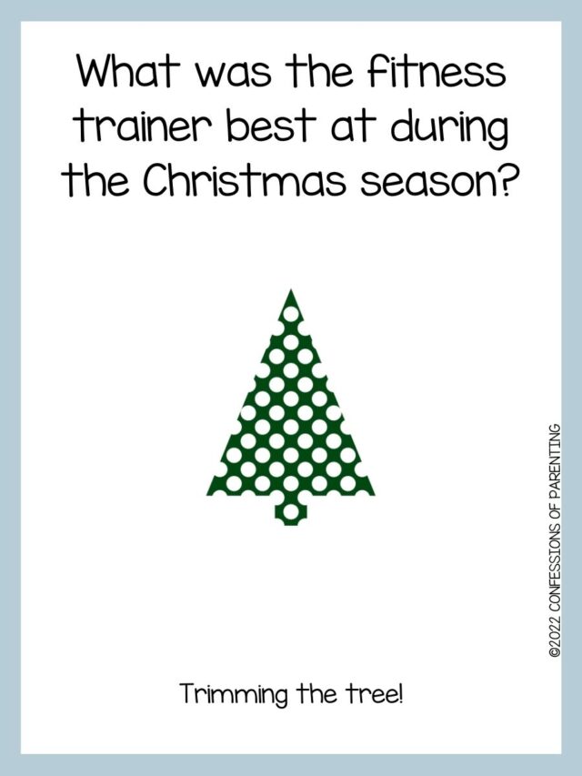 90 Best Christmas Tree Jokes That Are TreeMendous