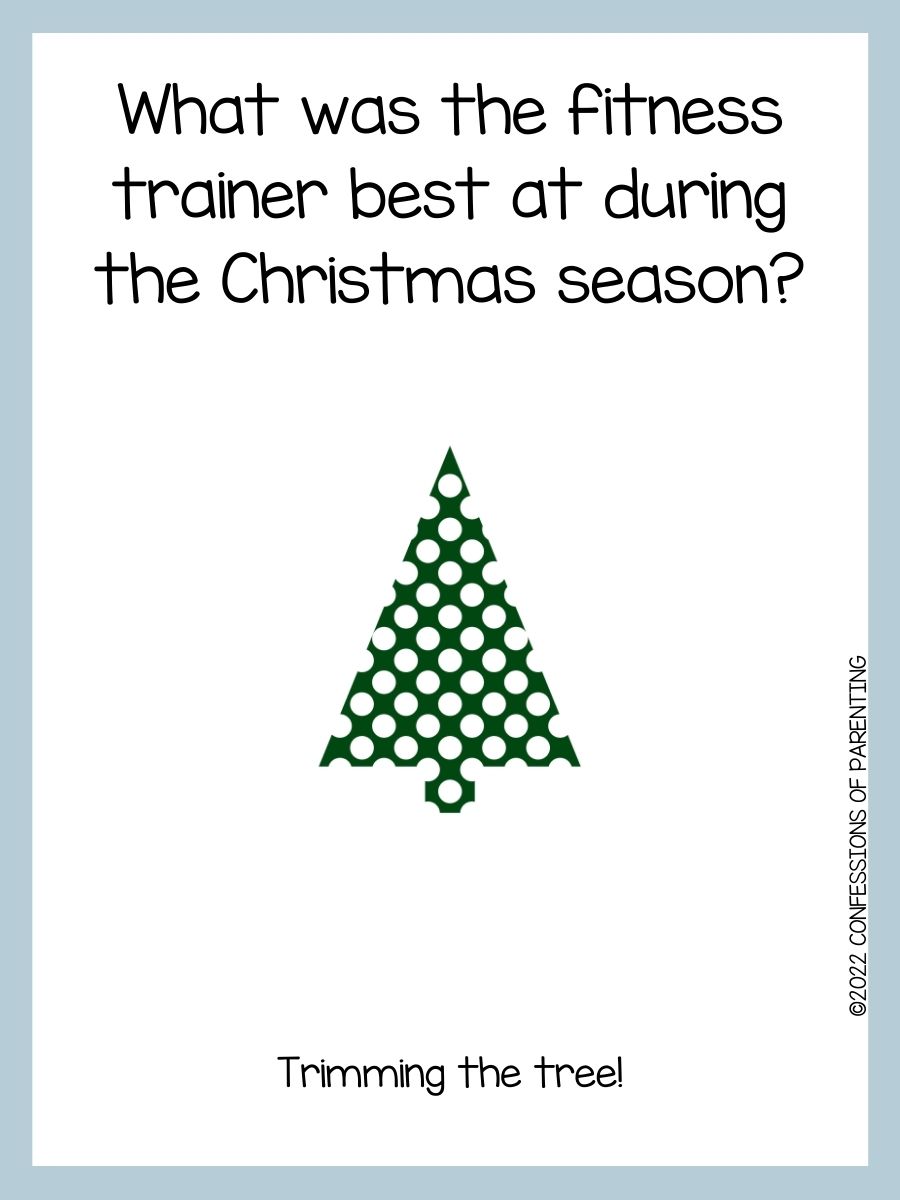 90 Best Christmas Tree Jokes That Are TreeMendous