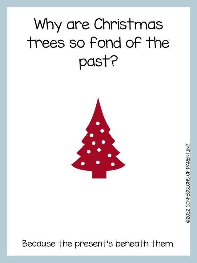 90 Best Christmas Tree Jokes That Are TreeMendous