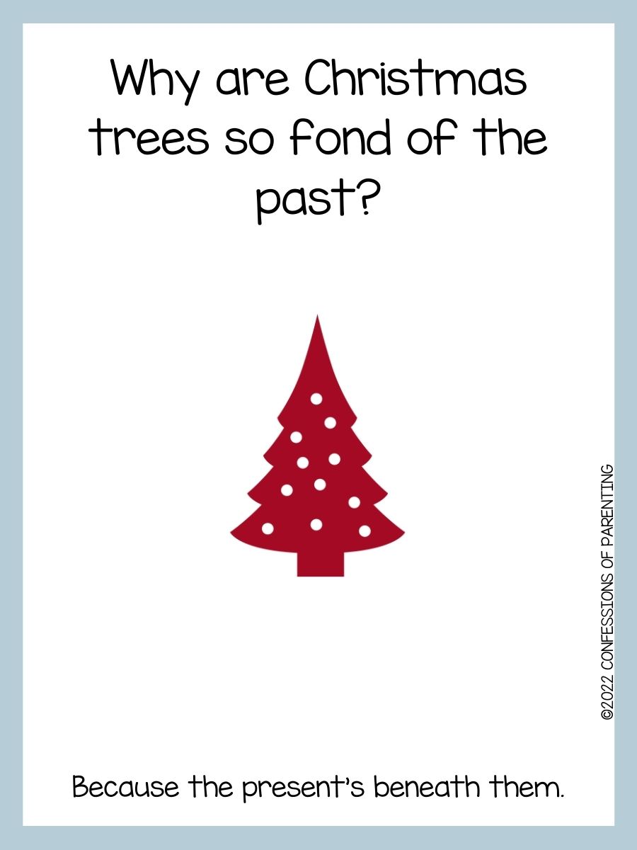 90 Best Christmas Tree Jokes That Are TreeMendous