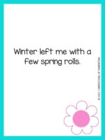 Funny Spring Sayings